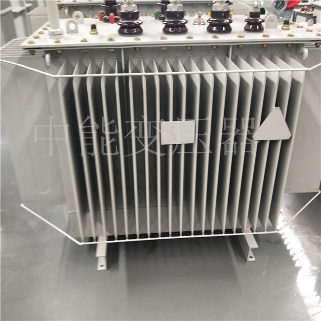 朔州S20-800KVA变压器