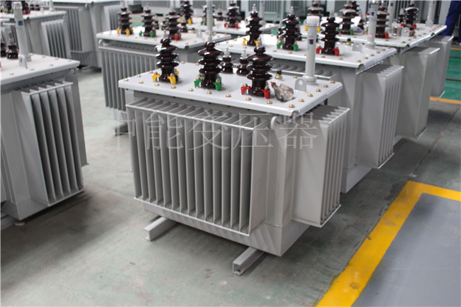 朔州S22-250KVA/10KV变压器